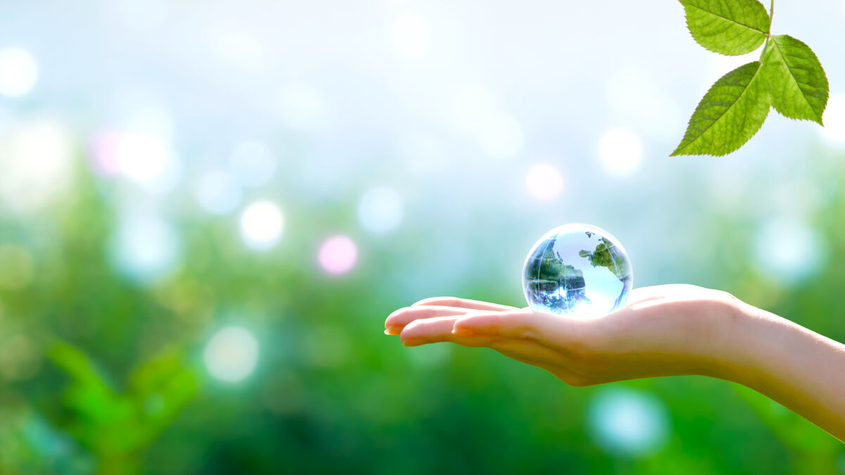 Introduction to Sustainable Development