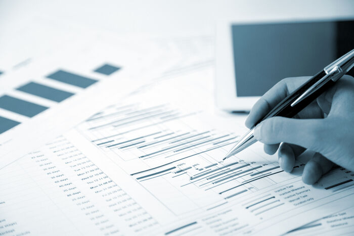 Project Governance