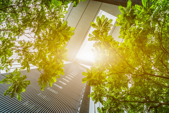 Carbon Management in Infrastructure